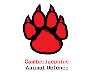 Cambridgeshire Animal Defence - Animal Rights Cambridge